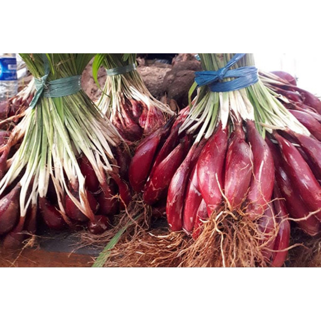 

Bawang dayak asli 1kg isi bersih kondisi fres