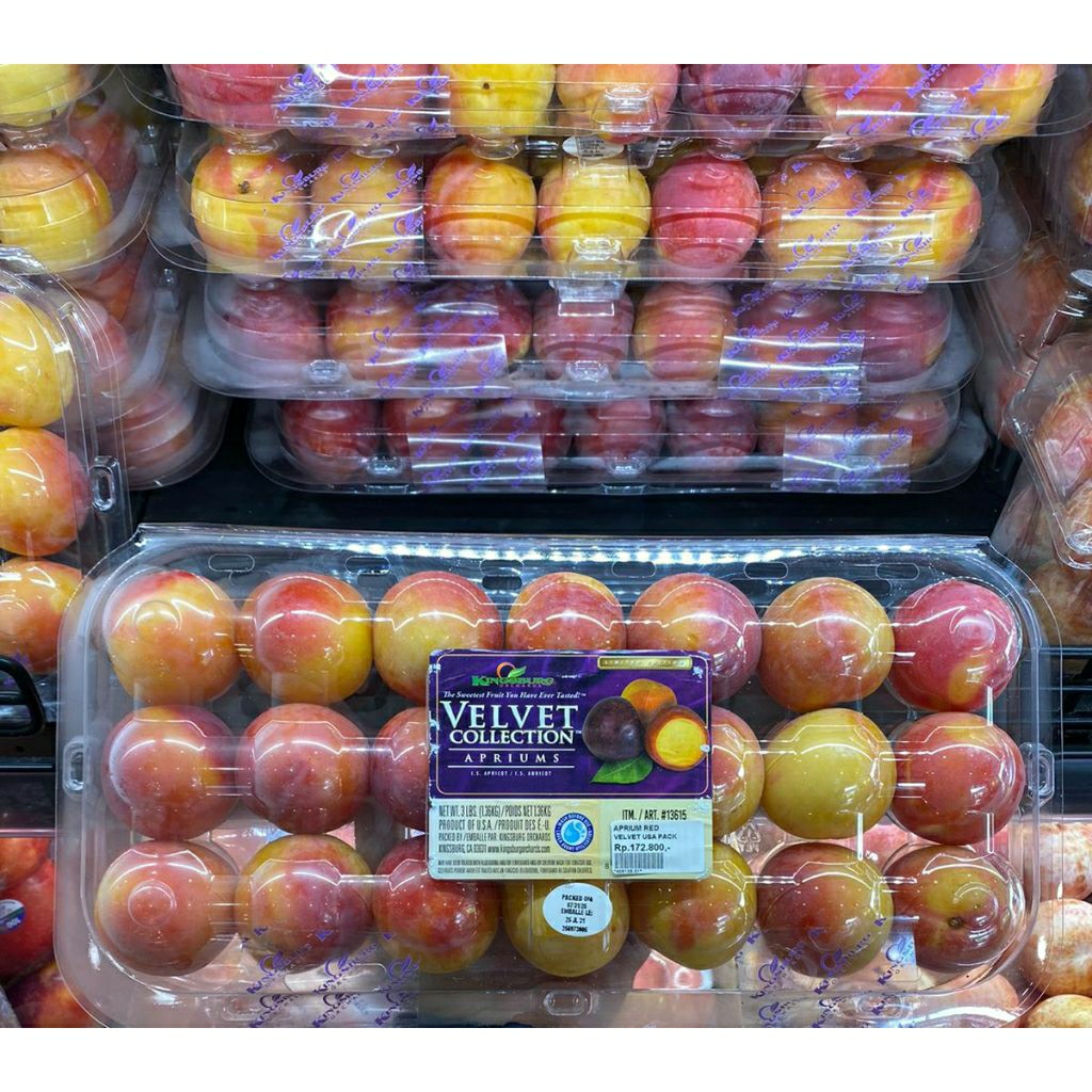 

buah excotix plum aprium red velvet USA