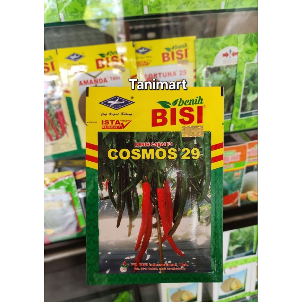 BENIH BIBIT CABE BESAR COSMOS 29 F1 10 GR