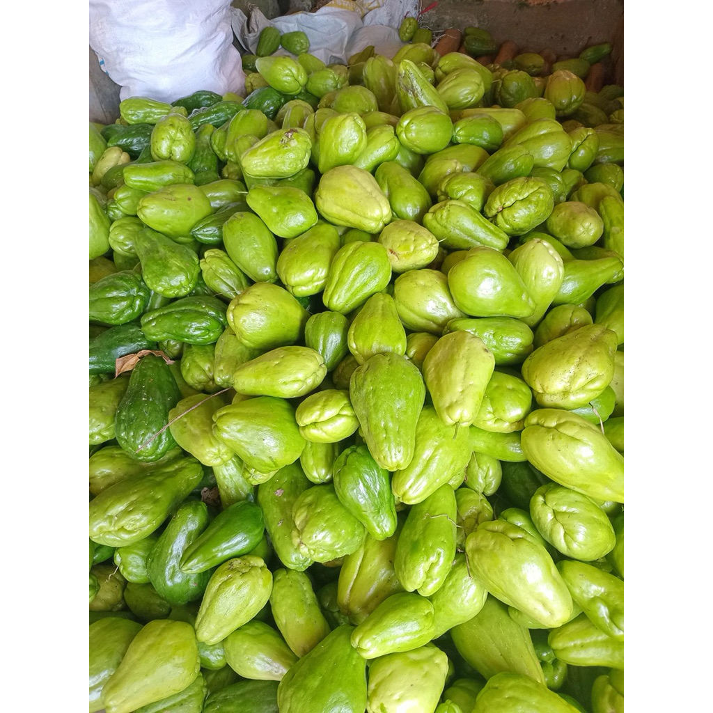 

Labu siam sayur fresh 1kg metik langsung dari kebun