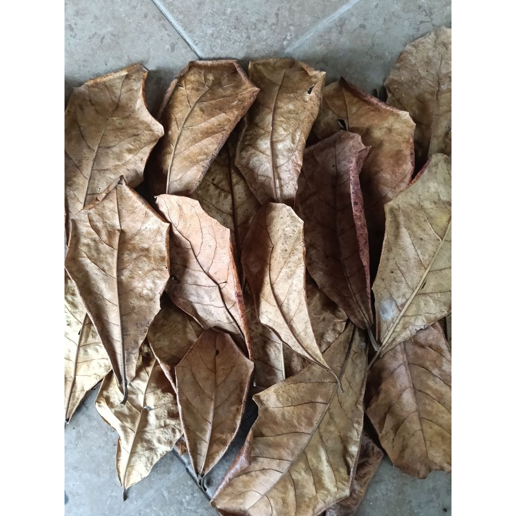 Daun ketepeng kering 250gr