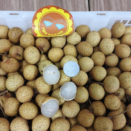 

LENGKENG GOLD MANIS FRESH 1 KG / 500 GRAM