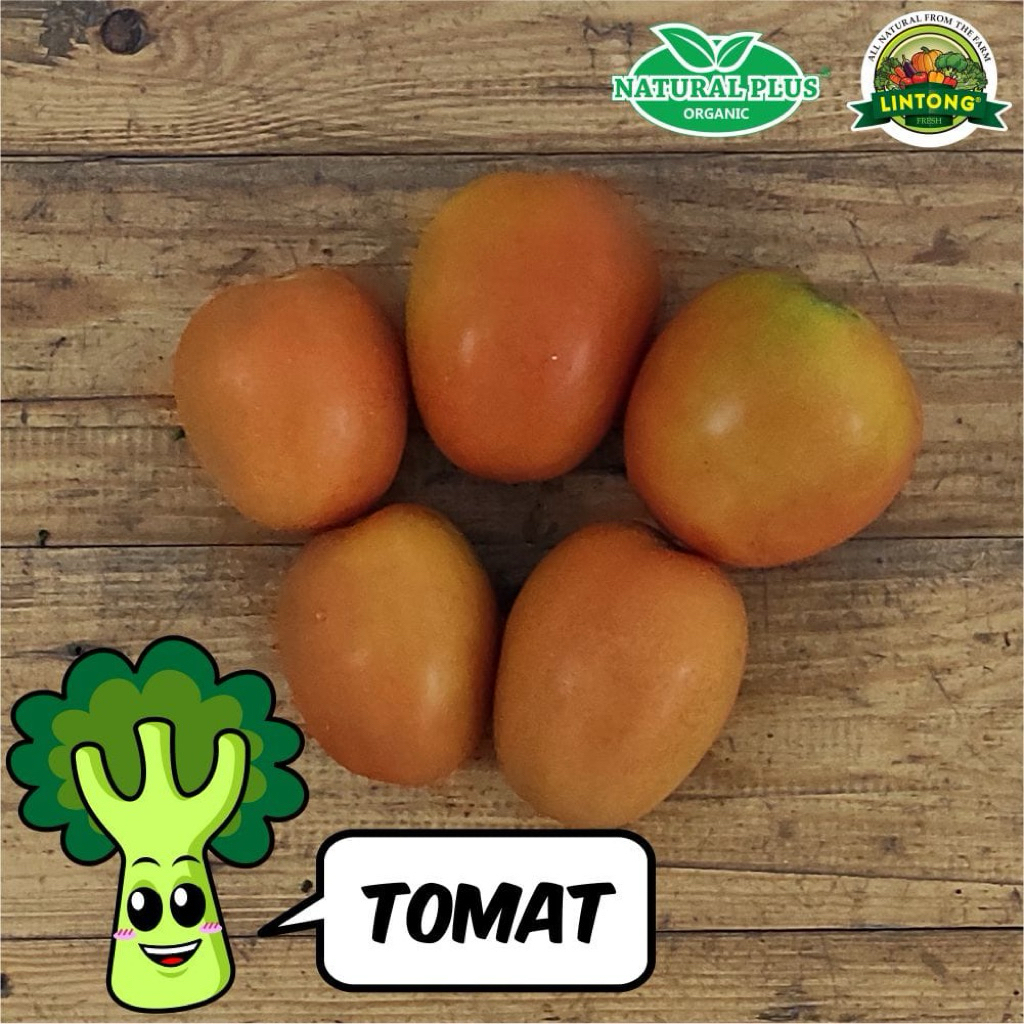 

Tomat Organik Natural Farm 250gr