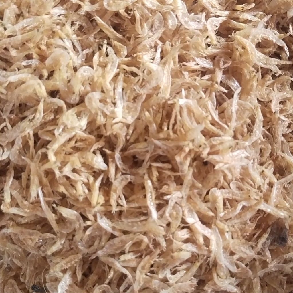 

Udang rebon asin kering murah