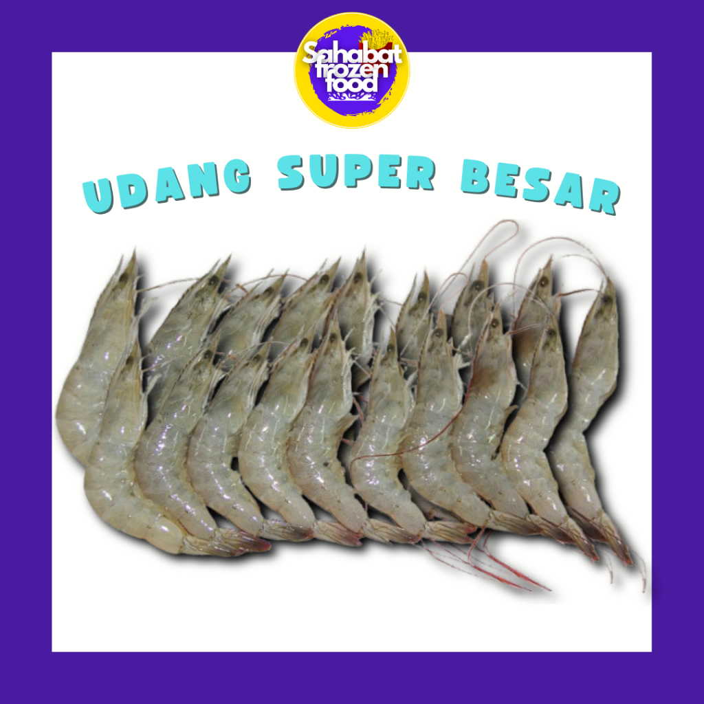 

Udang Vaname Ukuran Besar