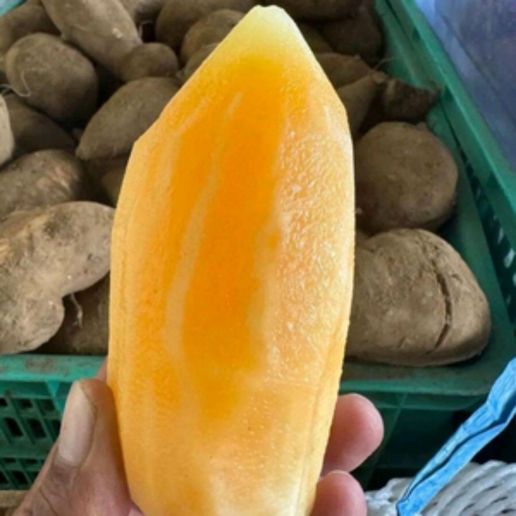 

UBI YACON segar manis renyah asli Wonosobo