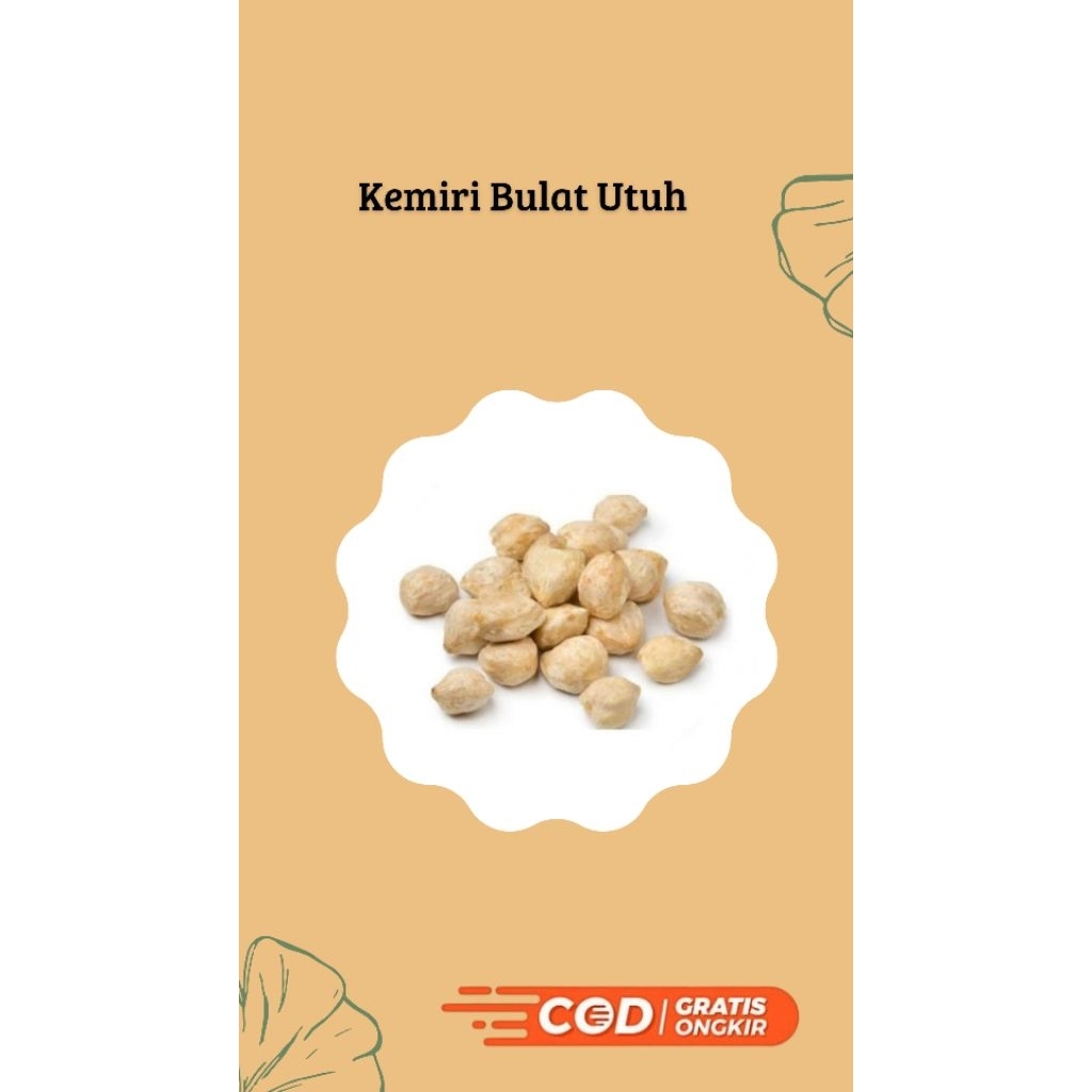 

Kemiri Bulat Super Grade A 100% Alami