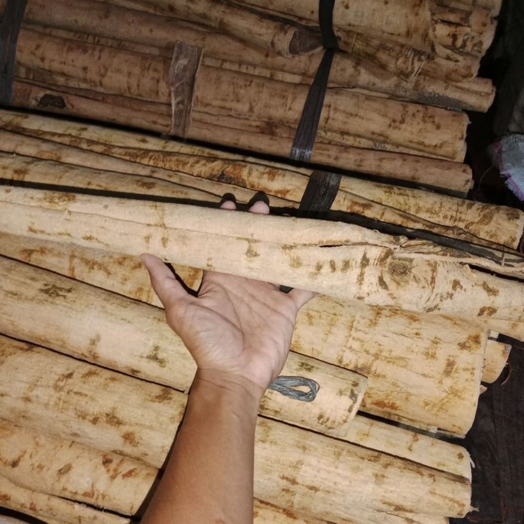 

kayu kulit PULE kering 1000gram herbal alami untuk kesehatan