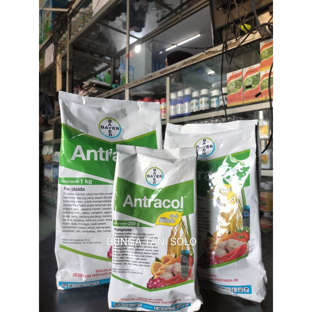 Antracol 70WP - Fungisida Kontak Anti Jamur Tanaman