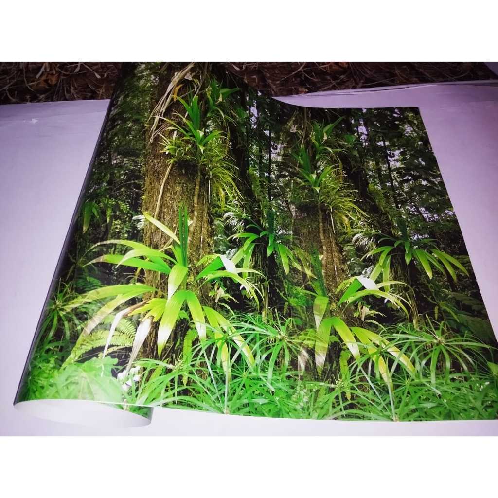 

Stiker Camo Motif Dominica 50x50cm