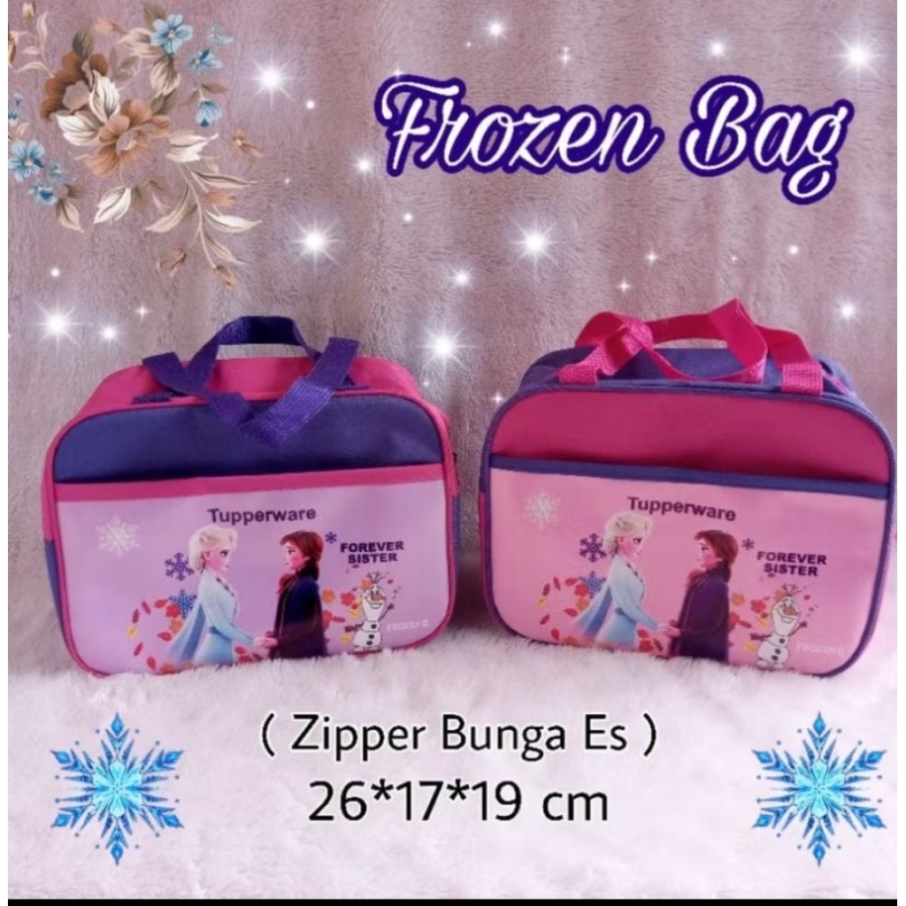 Tupperware frozen bag