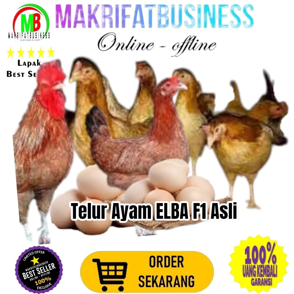 

MAKRIFATBUSINESS Paket 40 Pcs Telur FERTIL Ayam ELBA F1 ASLI Untuk Ditetaskan Produksi Farm Profesional