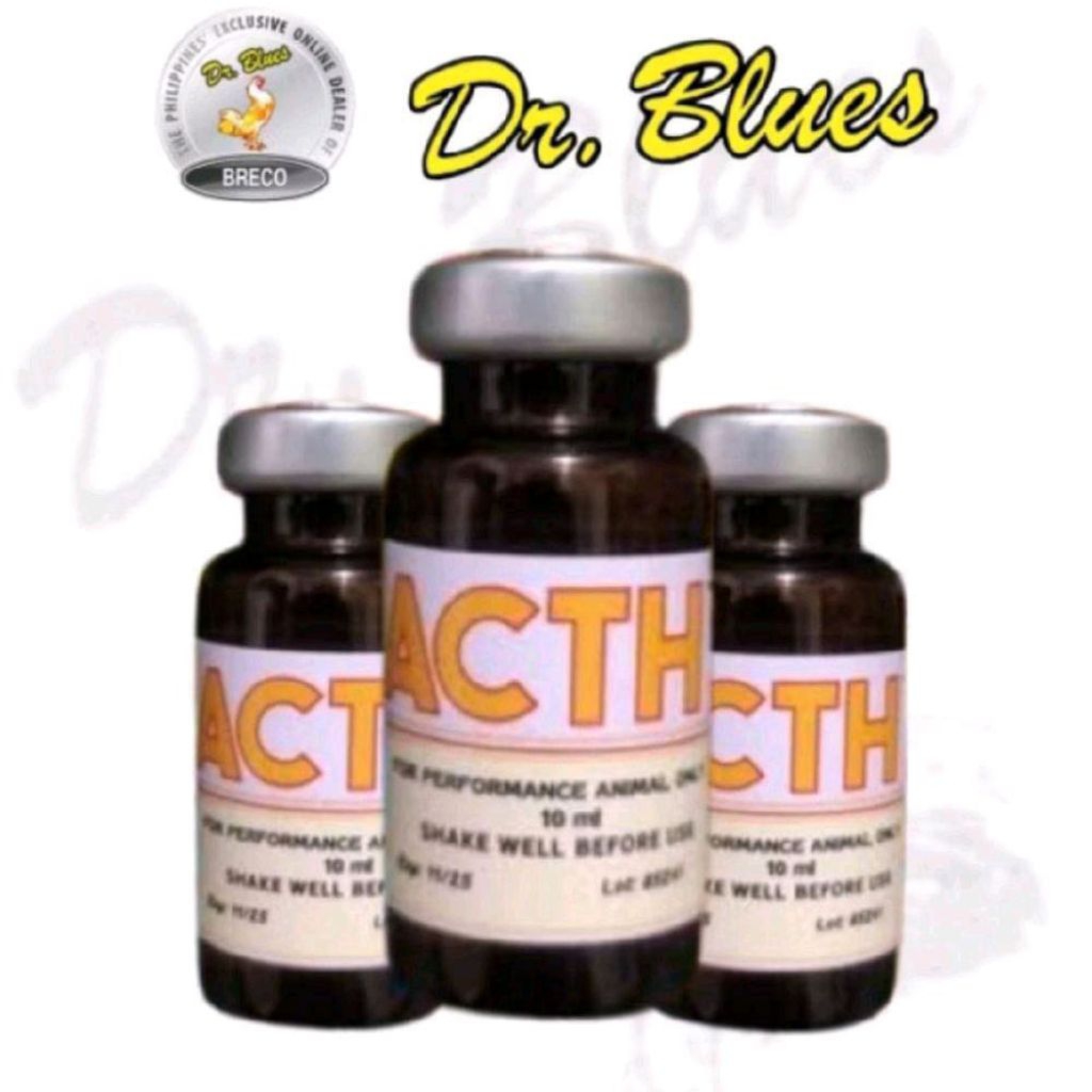 ACTH Doping Ayam Tajiku Terbaik