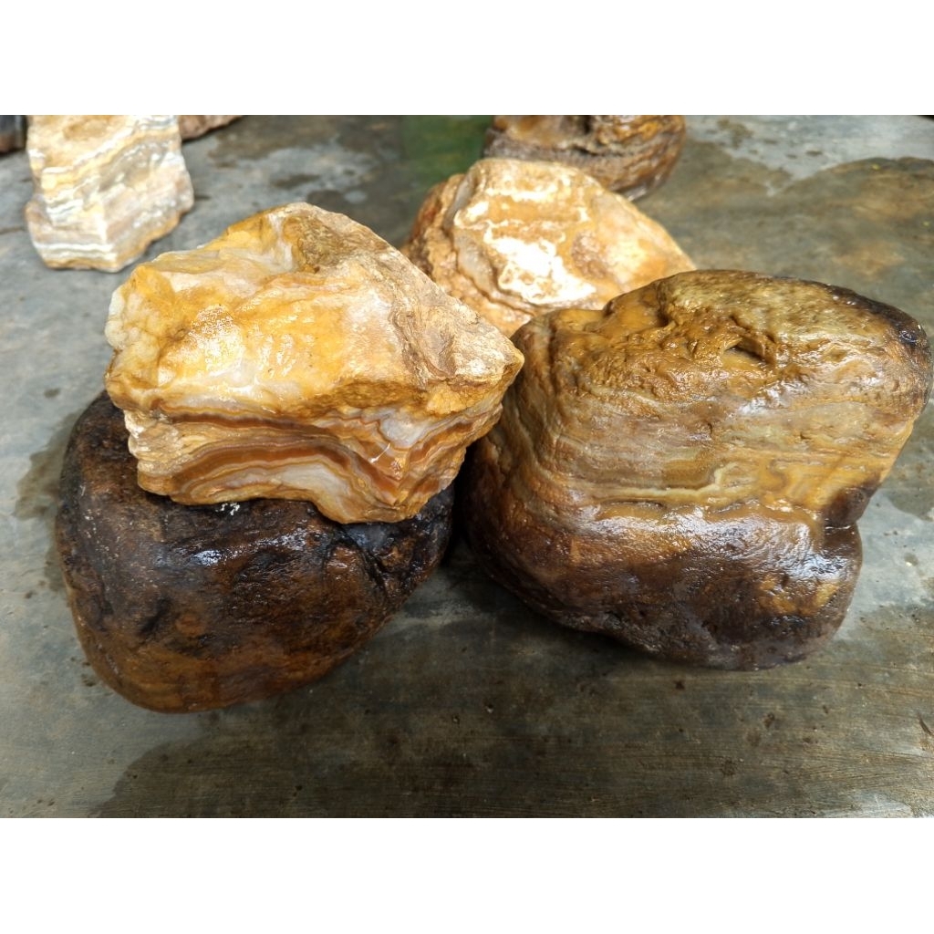 

Crazylace/Puserbumi 1kg