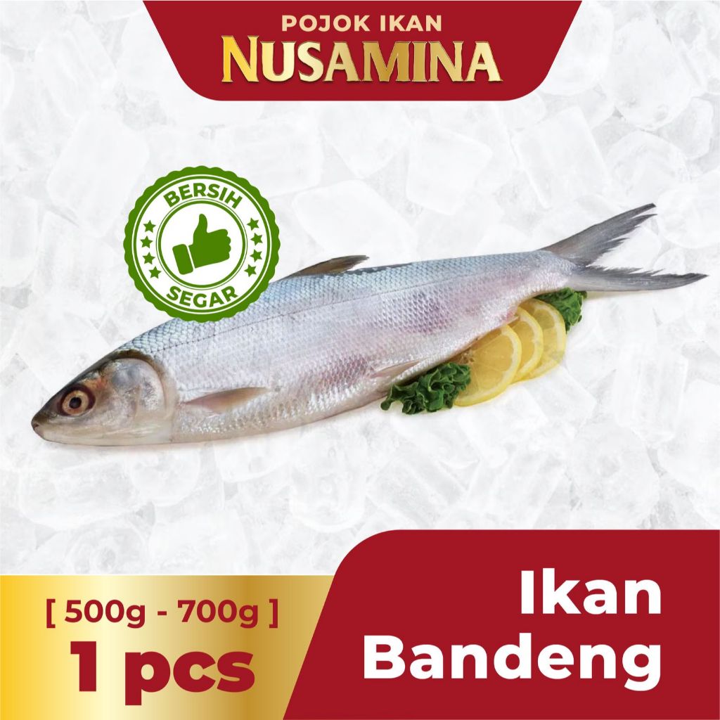 

Nusamina Ikan Bandeng Tarakan Premium. Daging Tebal. Tidak Bau Tanah [1 pcs] /500-700gram