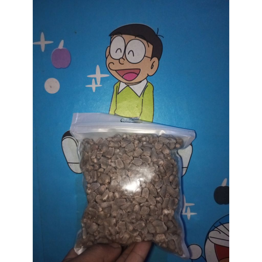 

biji spora/bunga porang