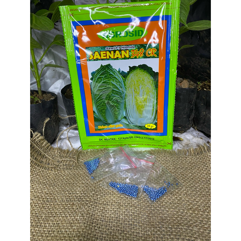 

BENIH SAWI PUTIH REPACK