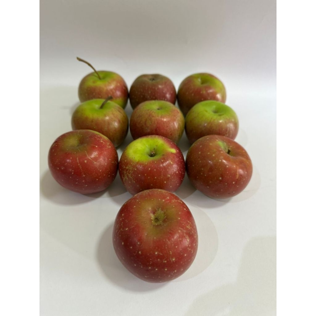 

Apel Malang Rome Beauty Besar 8-11 buah per 1kg