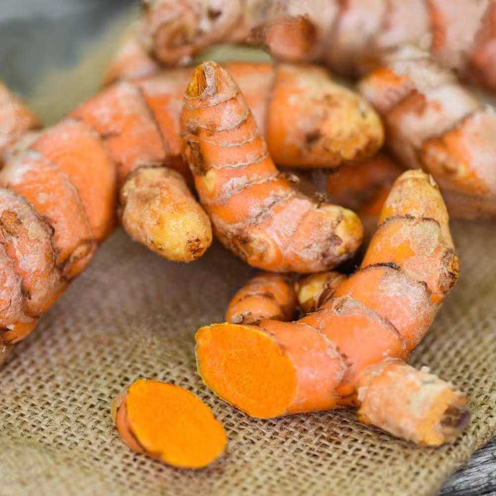 Kunir Kunyit Jawa Segar Tua 1kg / Kunyit Segar 1kg