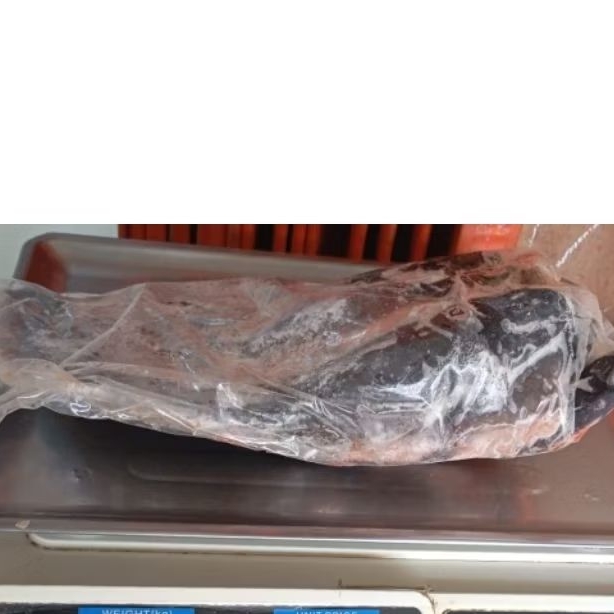 

IKAN LELE BERSIH+/- 1KG