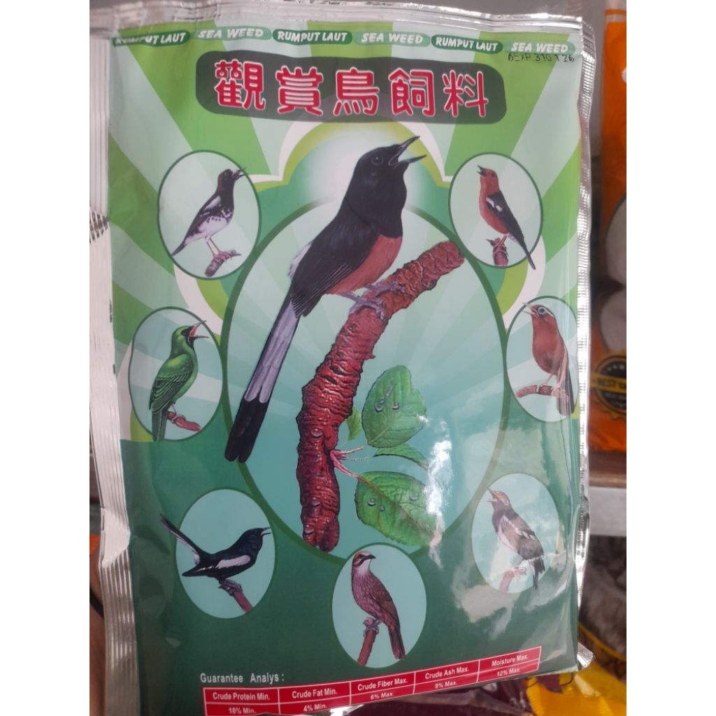 TOP SONG RUMPUT LAUT