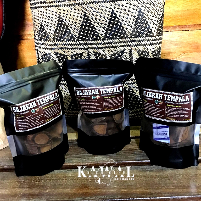 

Akar Bajakah Tempala Asli Kalimantan, ORIGINAL AKAR BAJAKAH
