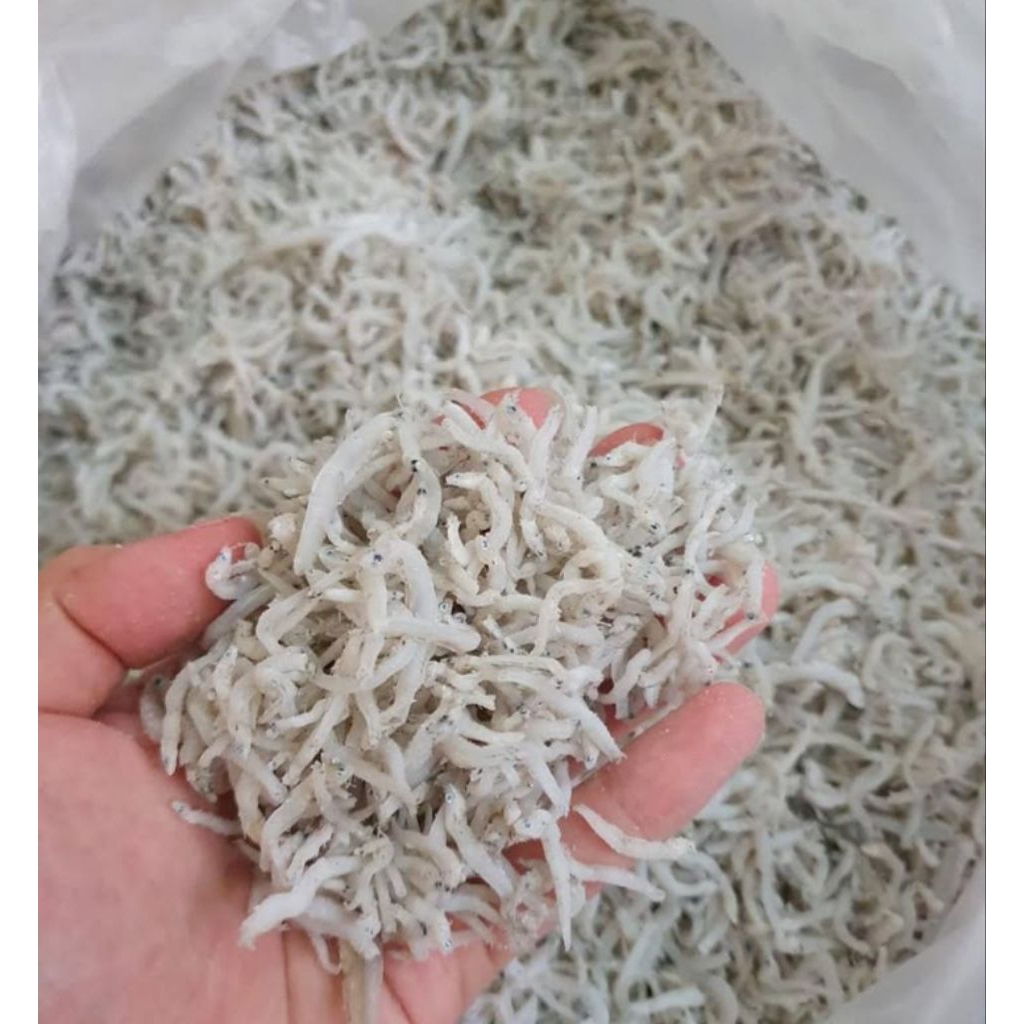 

IKAN TERI MEDAN 1 KG PREMIUM