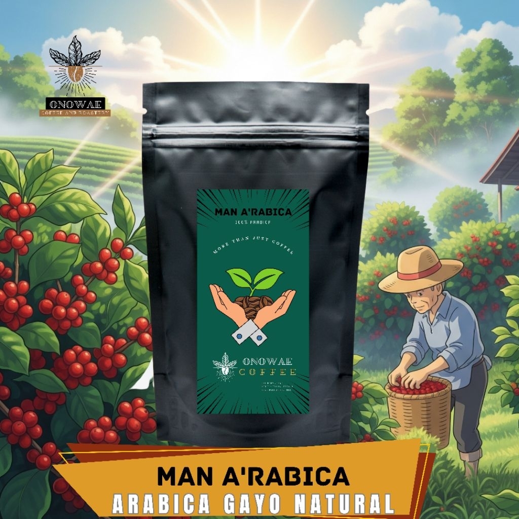 

Arabica gayo natural proses, MAN A'RABICA