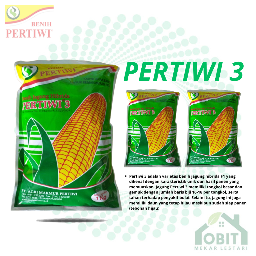 Benih Bibit Jagung Hibrida Pertiwi 3 / Bibit Jagung Pertiwi 3 ORIGINAL PERTIWI