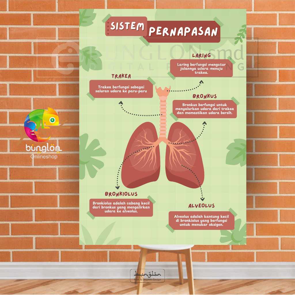 

Poster Sistem pernafasan