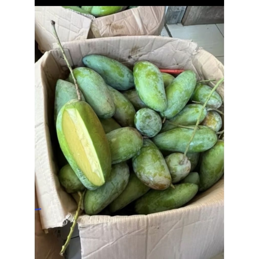 

mangga manis kionjay enak