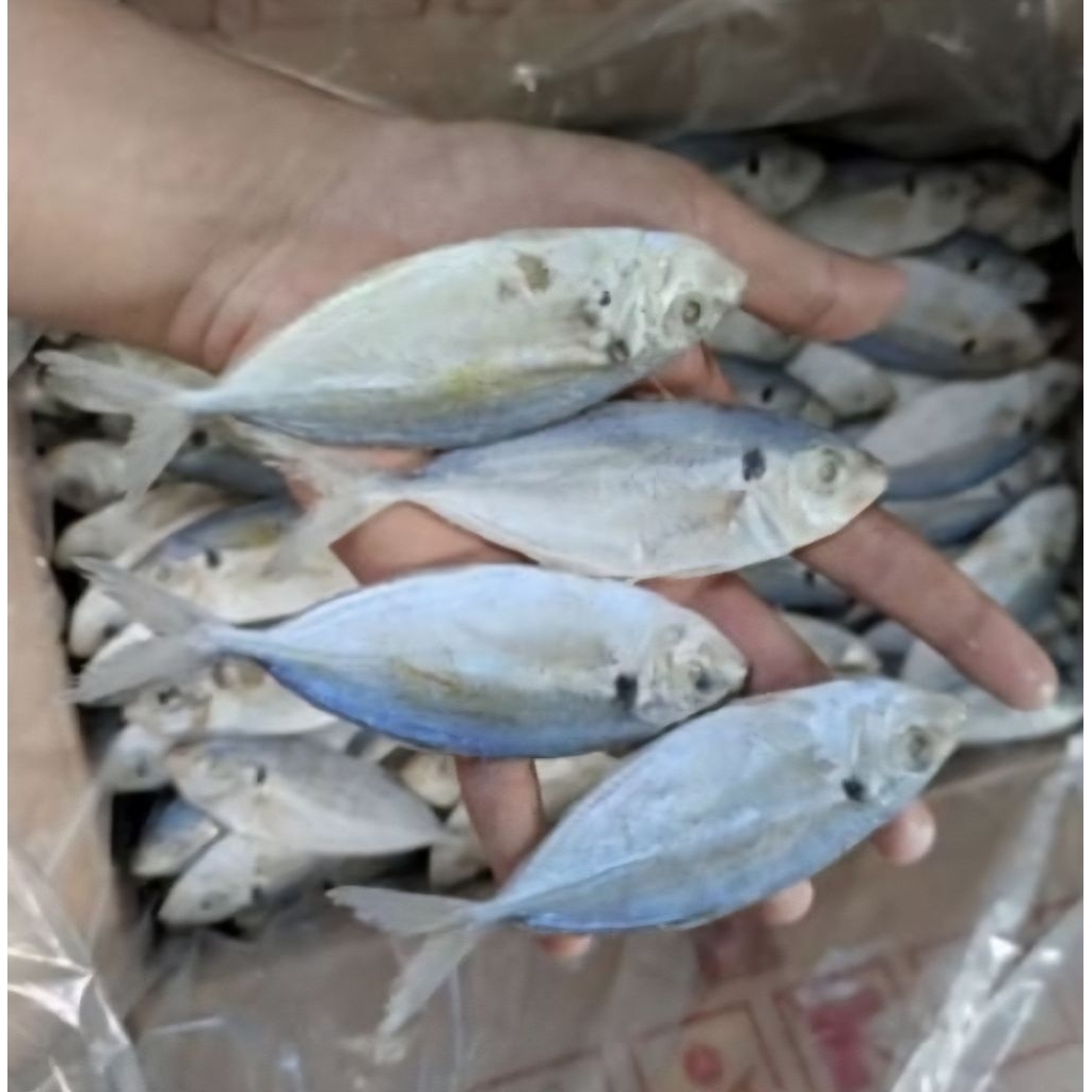 

IKAN ASIN SELAR 100 gr