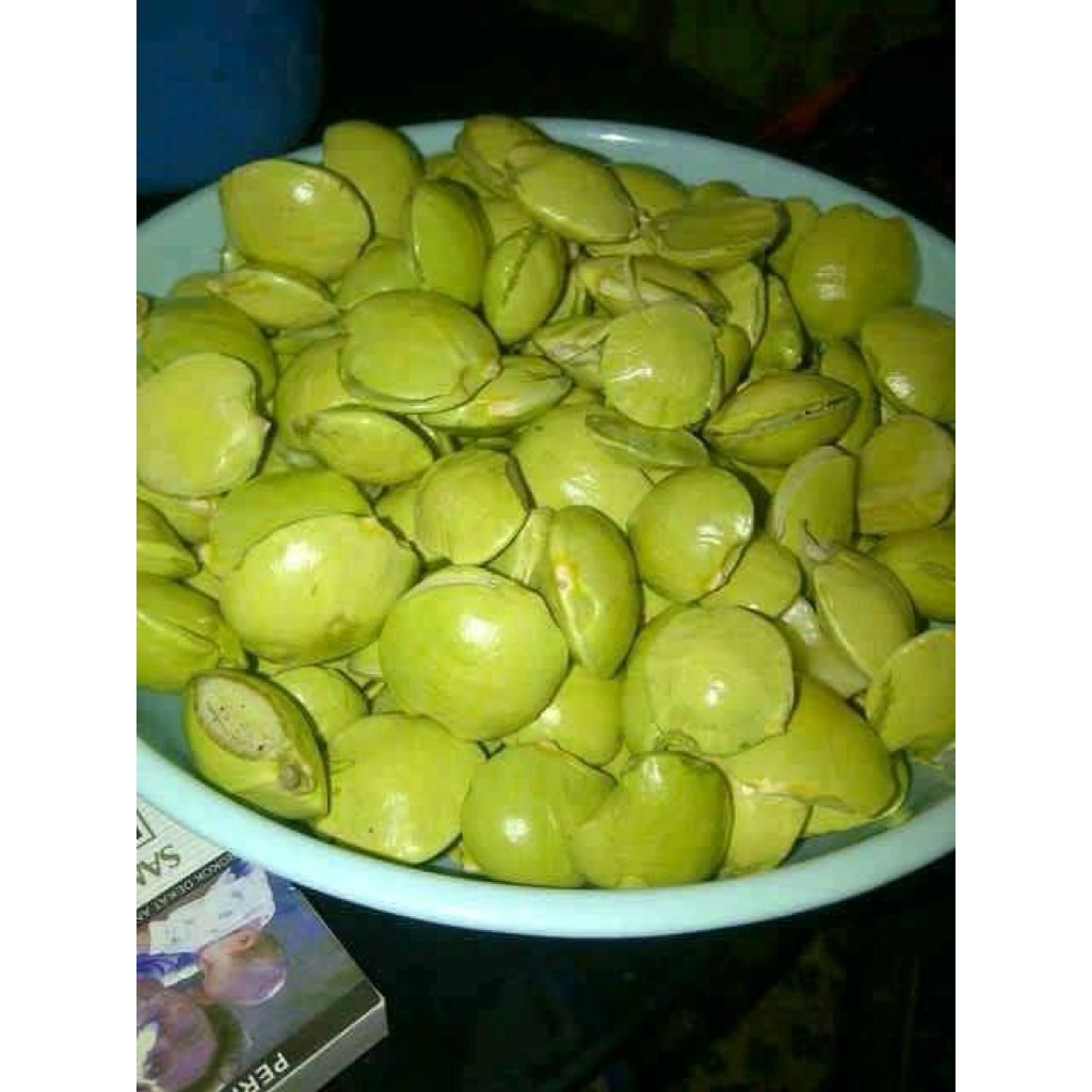 

JENGKOL MUDA PORSI 10.000 - 36 FRESH PALEMBANG