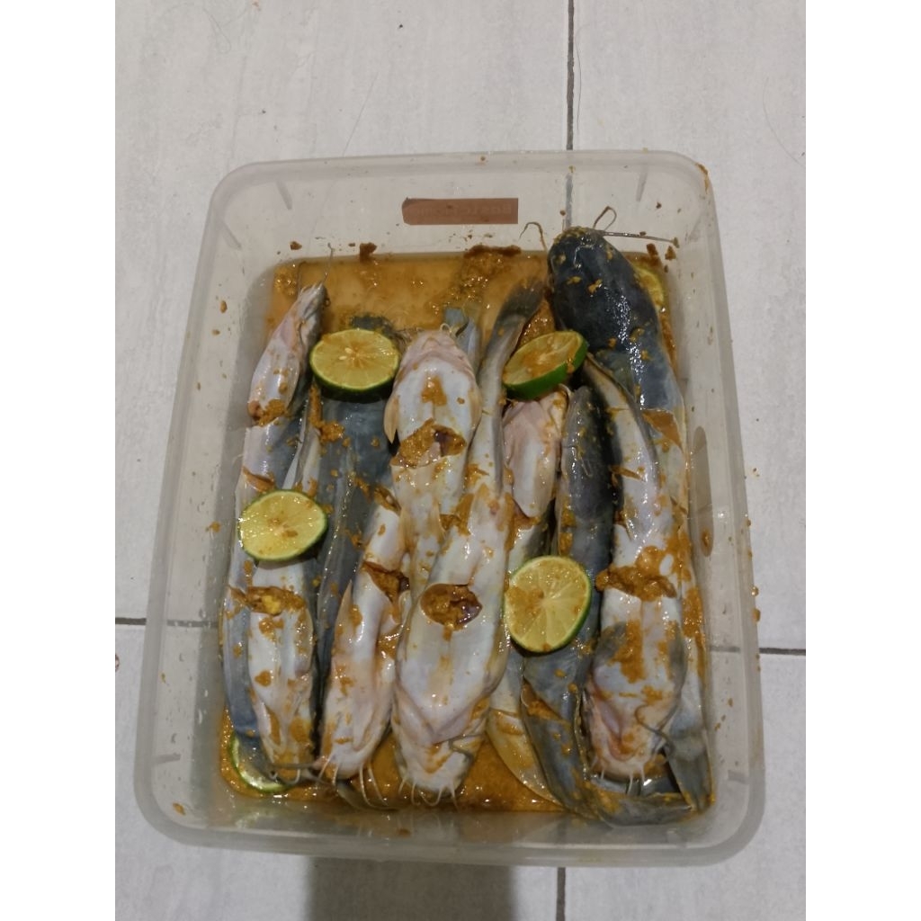 

Lele Bumbu Marinasi Frozen isi 3