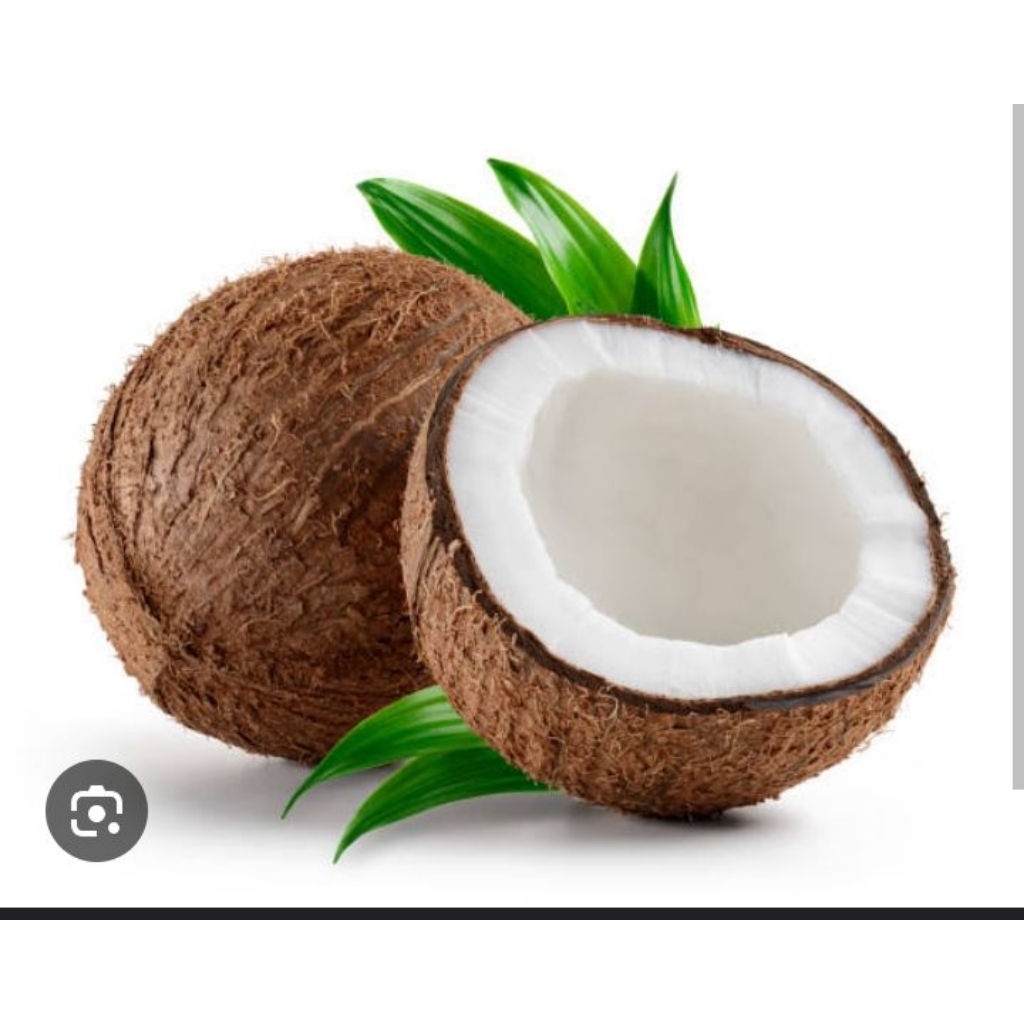 

kelapa tua. full utuh 1 bulat. gurih cocok untuk semua masakan