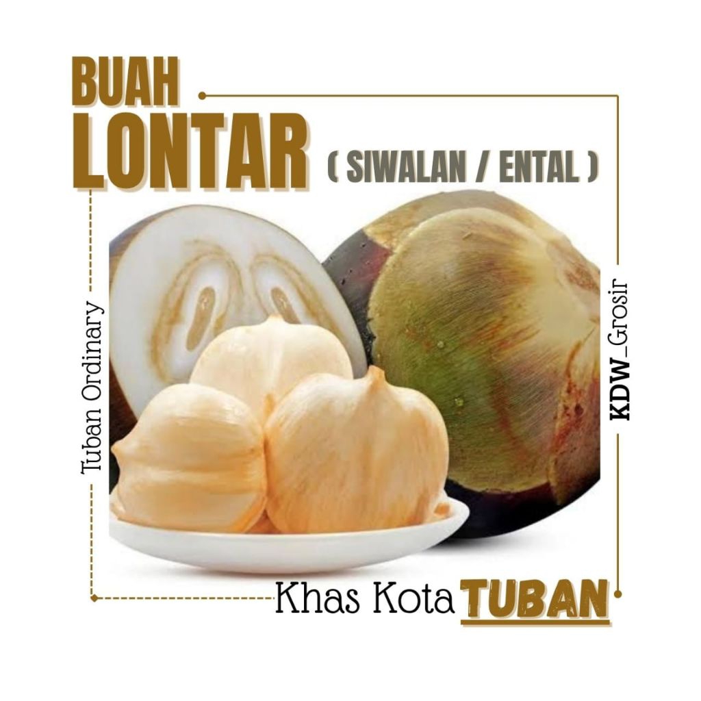 

Buah Lontar siwalan Tuban super Isi 3biji