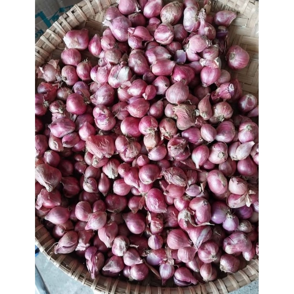 

Bawang Merah Brebes Segar Ukuran Sedang