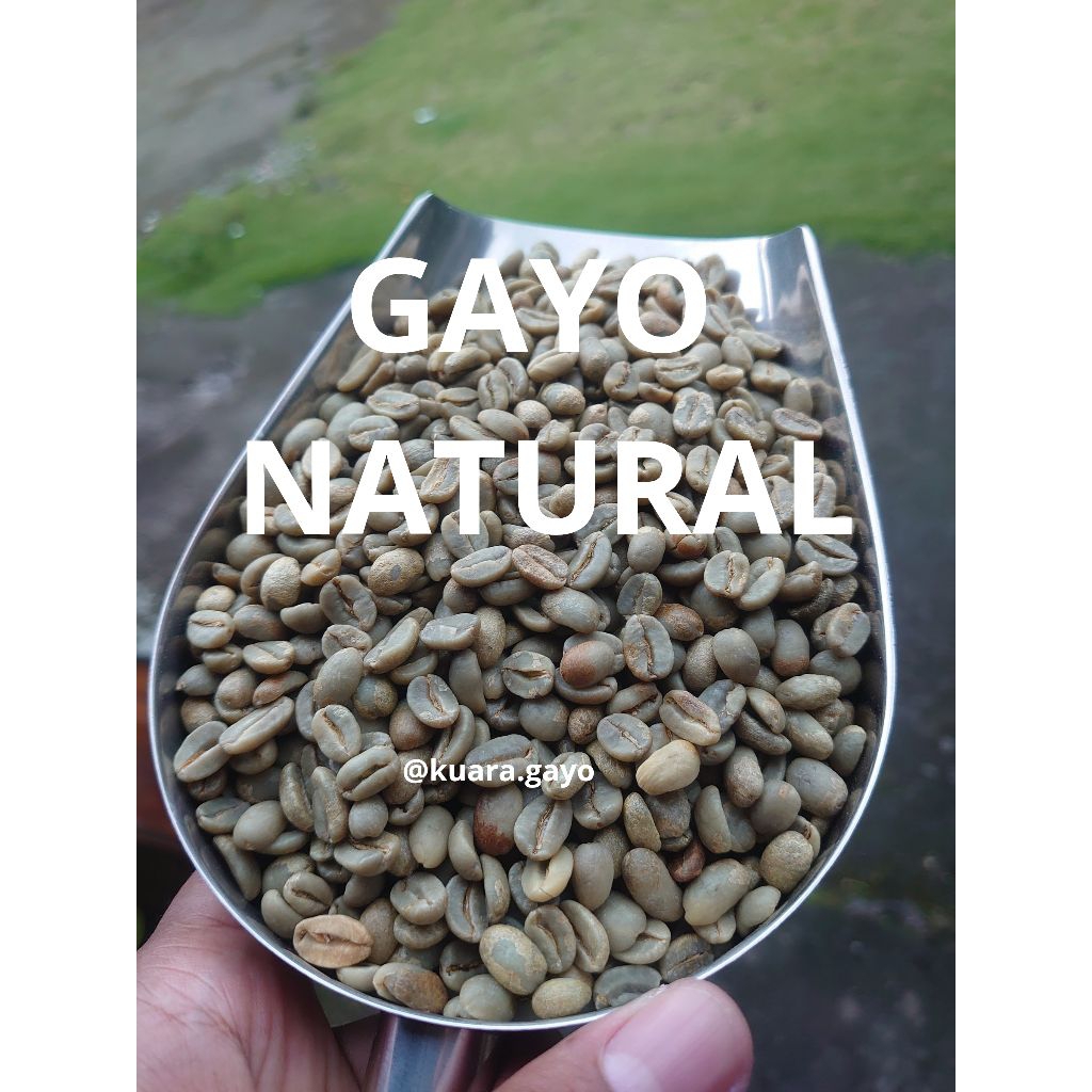 

GREENBEANS NATURAL KLASIK KOPI GAYO ACEH 1KG