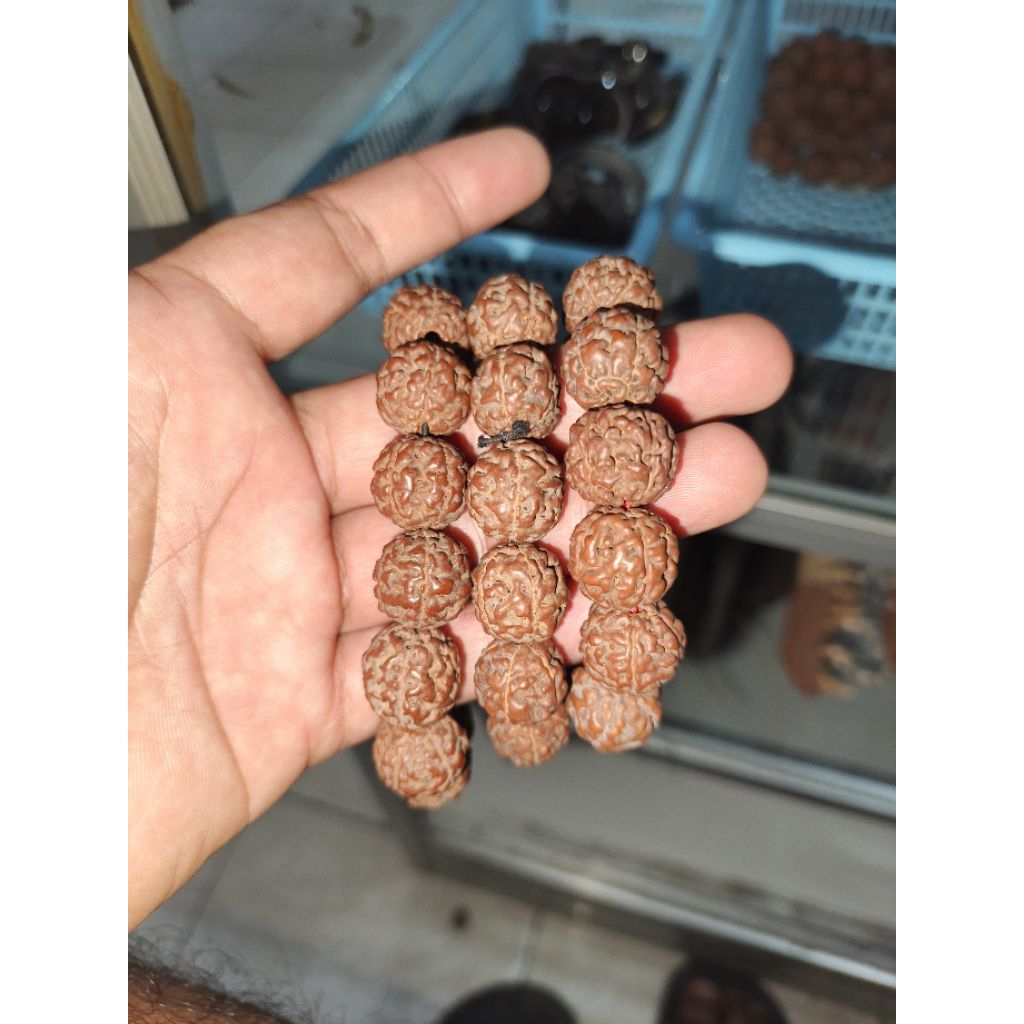 Gelang jenitri/Asli papua/oleh2 khas papua