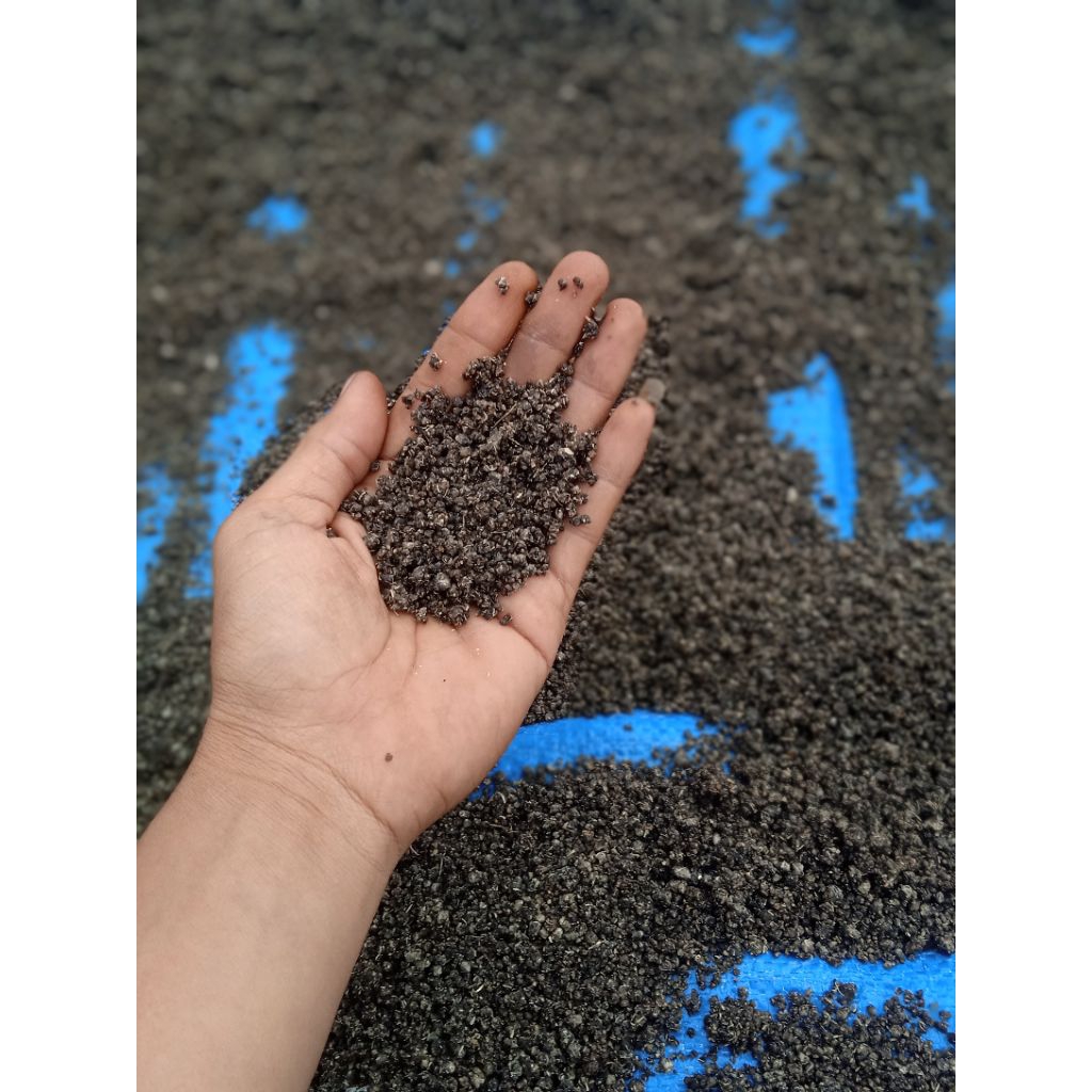 

Nasi Tiwul Original 1kg Mentah hitam semu Asli dari Gunung wilis– Petani Muda Sehat & Tradisional