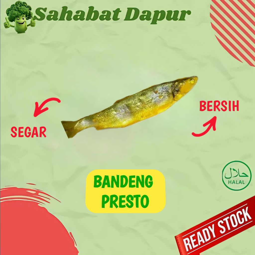 

Ikan Bandeng Presto 1 pcs