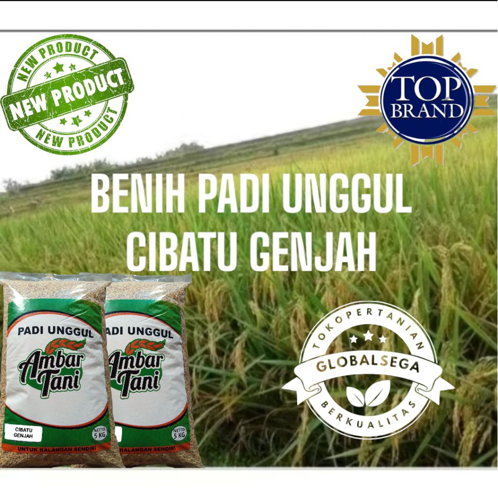 Benih Padi Bibit Padi Unggul CIBATU GENJAH Kemasan 5KG ORIGINAL