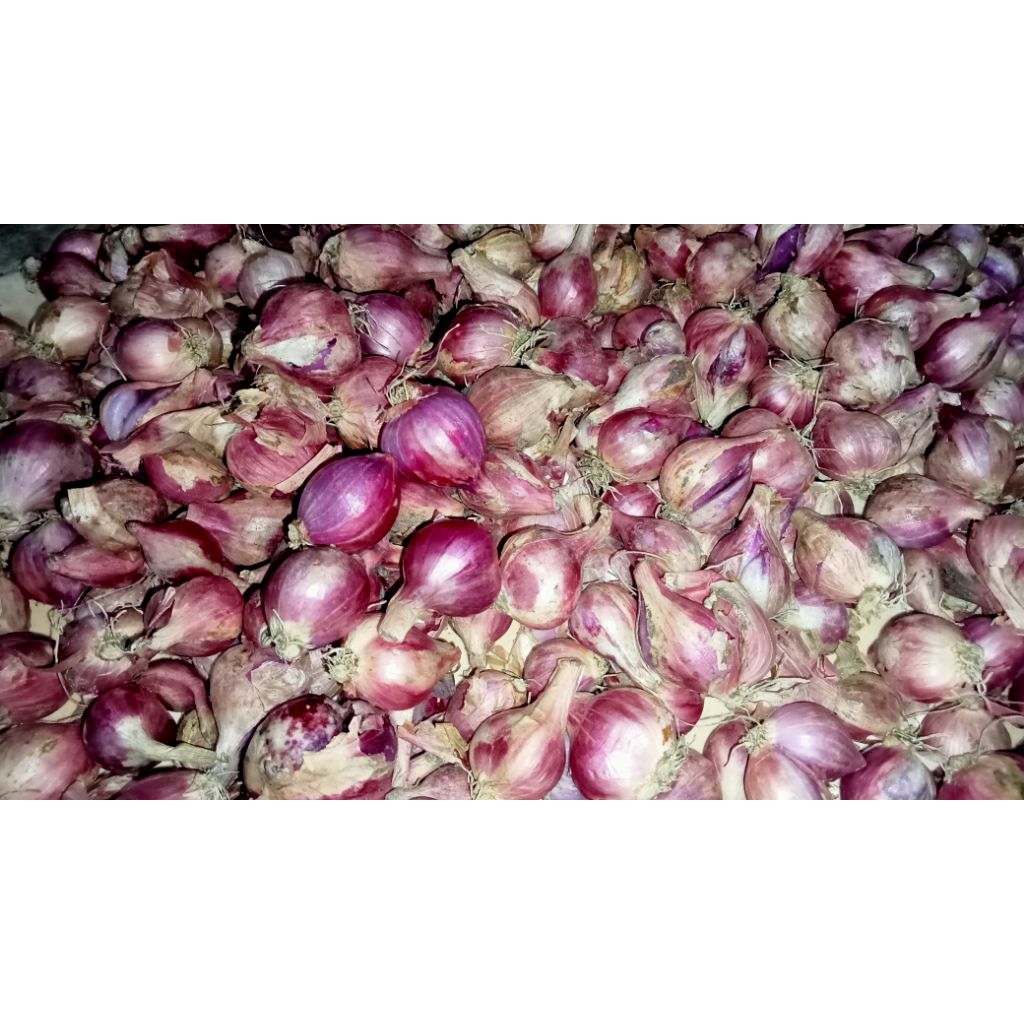 

bawang merah segar berkualitas/ 1kg , 500gr, 250gr, 100gr/ bawang merah kering