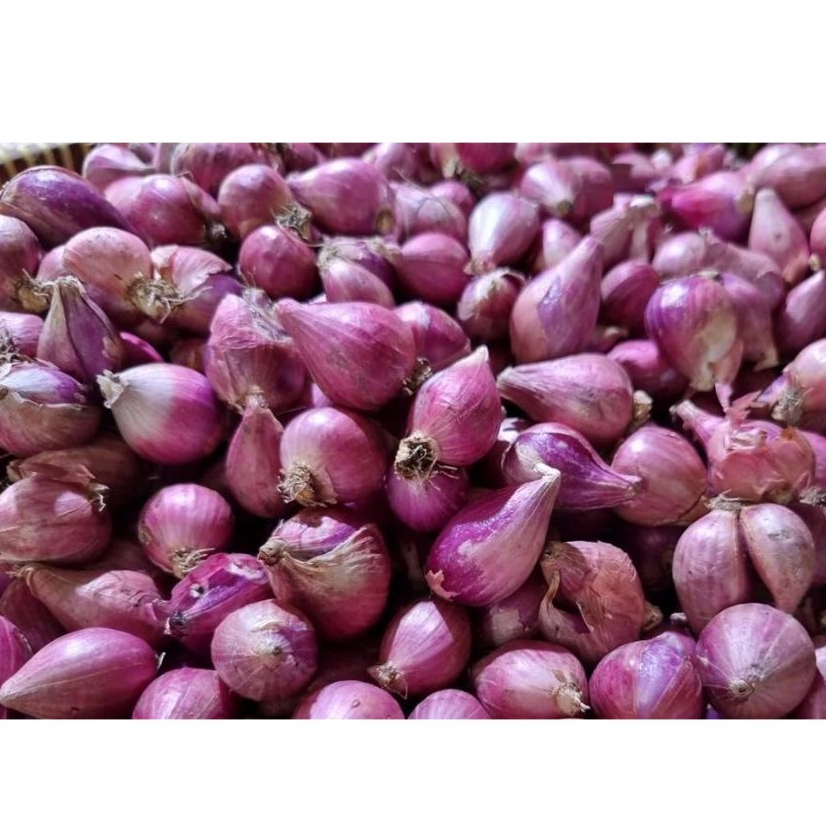 

Bawang Merah Murah 500 gram / 250 gram / Campur Kecil Besar / Pengiriman Kilat Surabaya