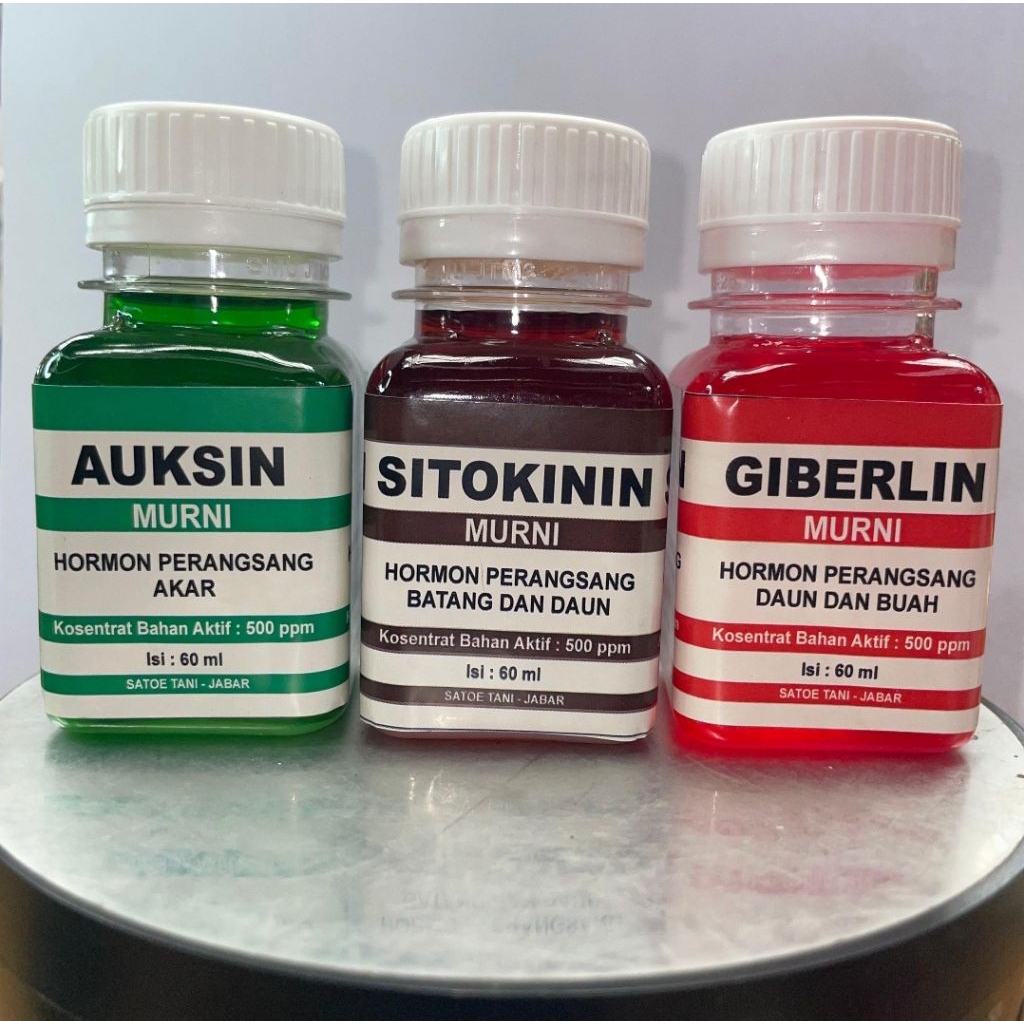 PAKET AUKSIN,GIBERLIN,SITOKININ 60ML