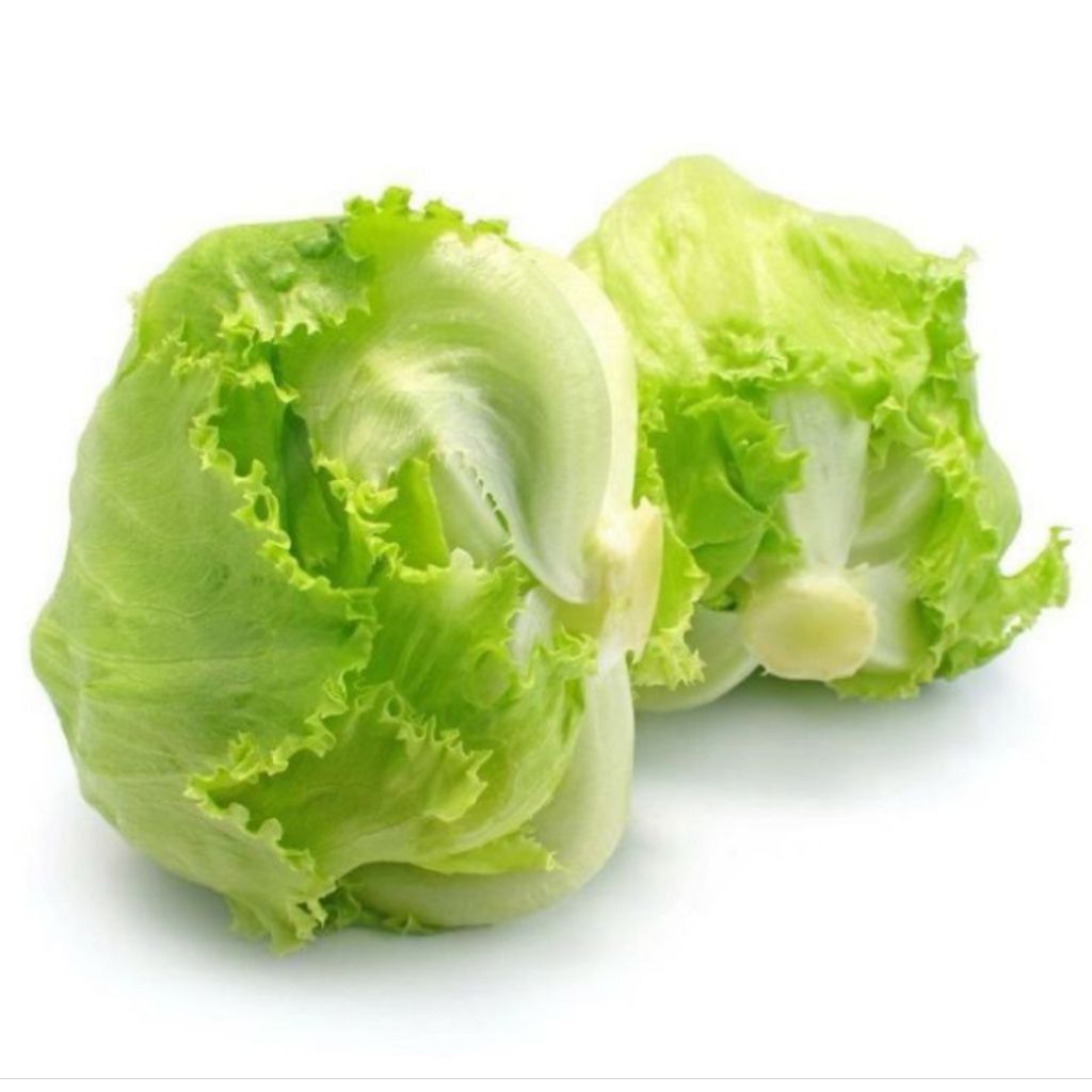 

SELADA LETTUCE SEGAR 1kg/500gr/250gr
