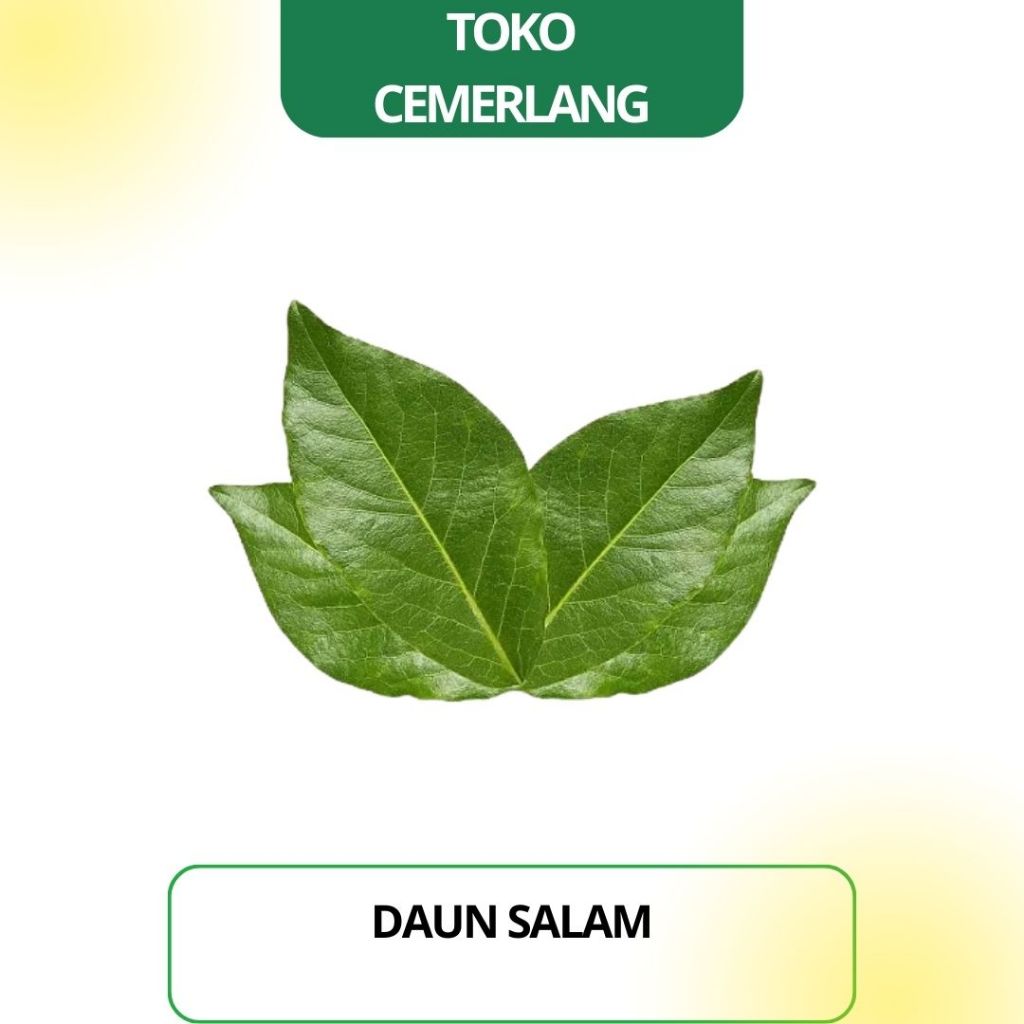 

Daun Salam 100 gr / 250 gr / 500 gr / 1 kg