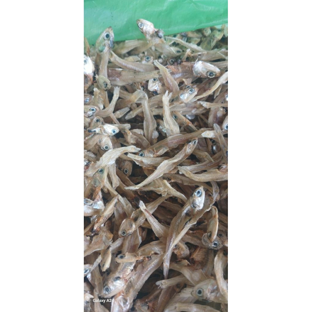 

Ikan Teri Tawar Putih