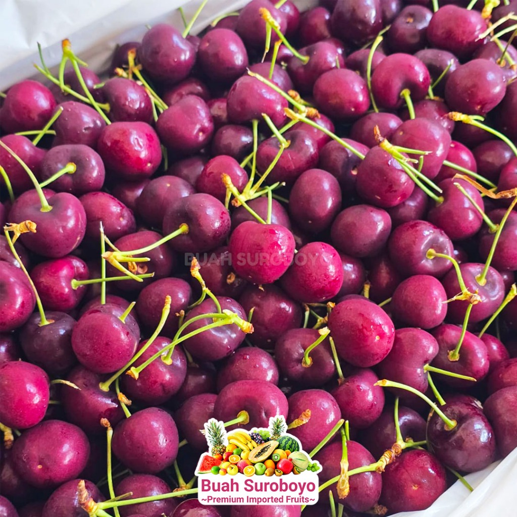 

Cherry Premium Canada