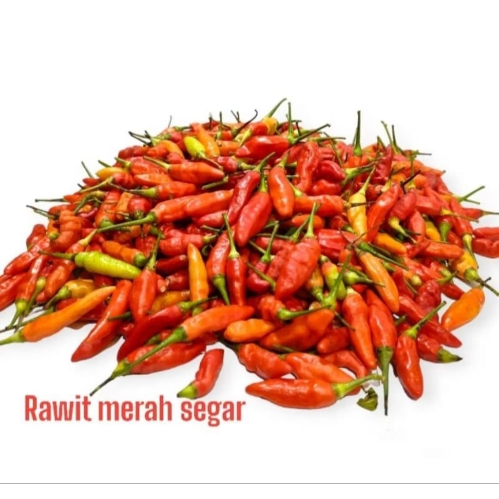 

Cabe rawit merah segar 500gr paket buah/sayuran segar
